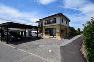 search_img_01